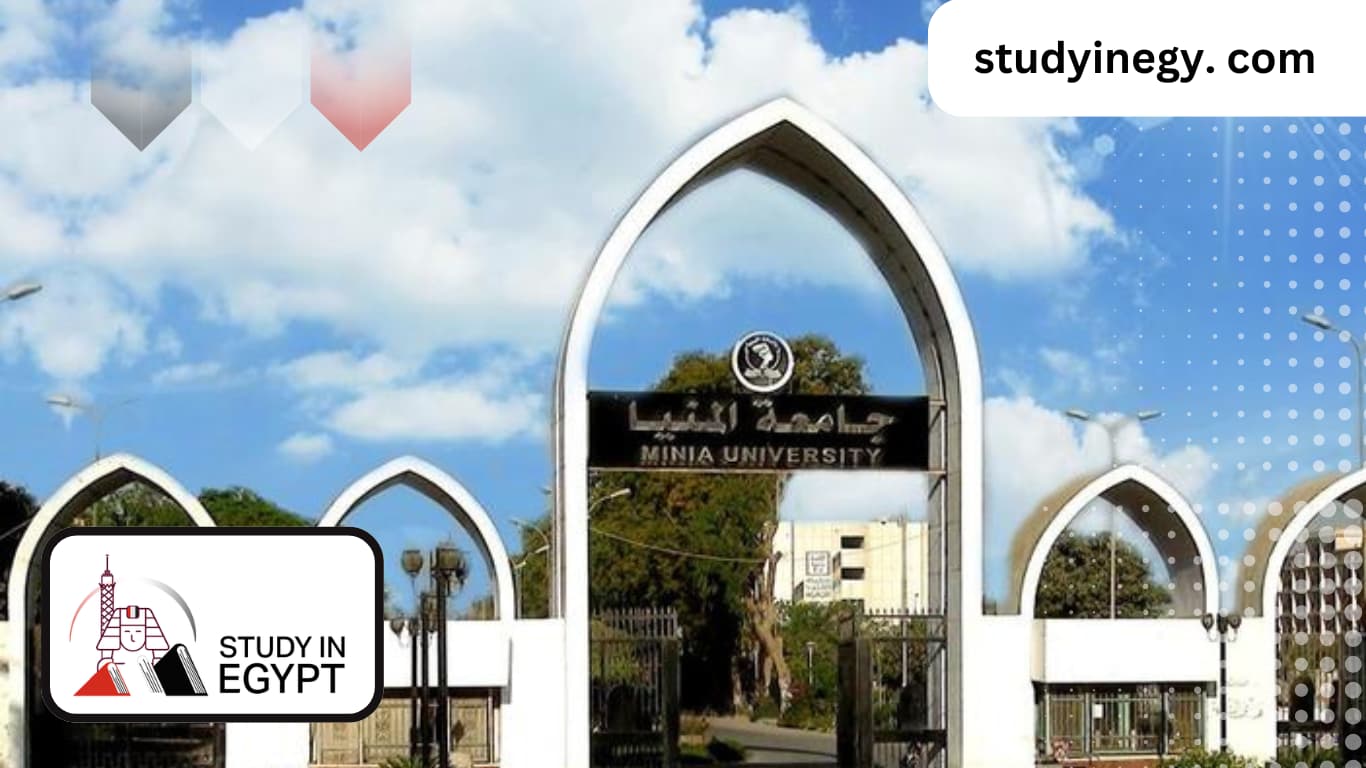 Studying Languages at Al-Alsun in Minya