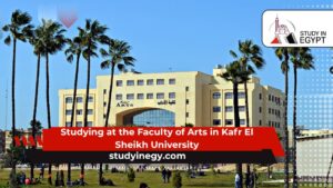 Studying at the Faculty of Arts in Kafr El Sheikh University