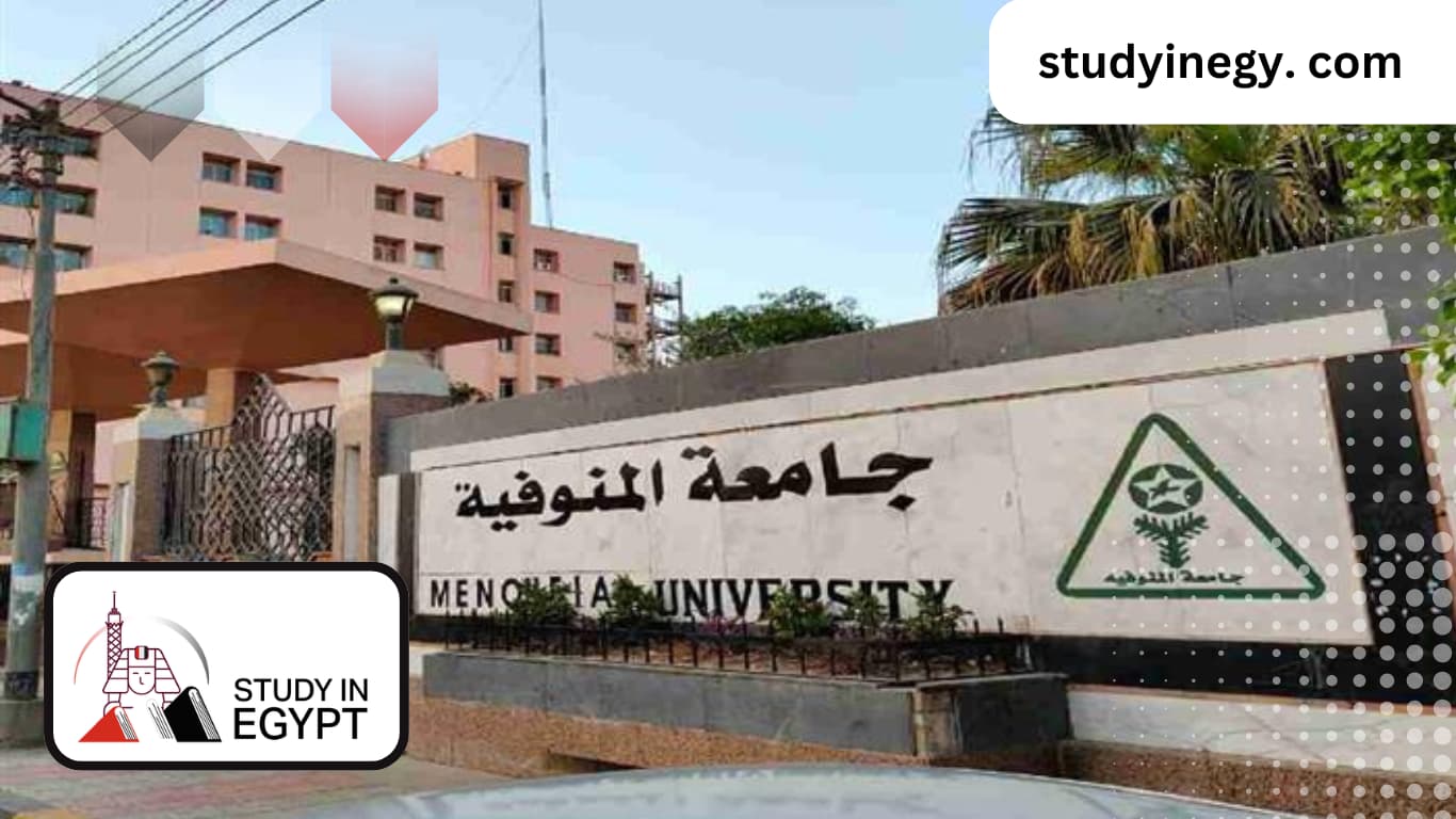 Studying at the Faculty of Arts at Menoufia University