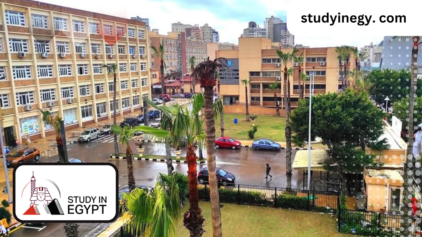 Studying At The Faculty Of Arts At Alexandria University