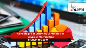 Advantages of Studying Commerce In Egyptian Universities