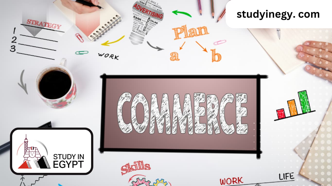 Advantages of Studying Commerce In Egyptian Universities