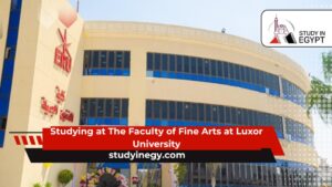 Studying at The Faculty of Fine Arts at Luxor University