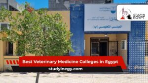 Best Veterinary Medicine Colleges in Egypt