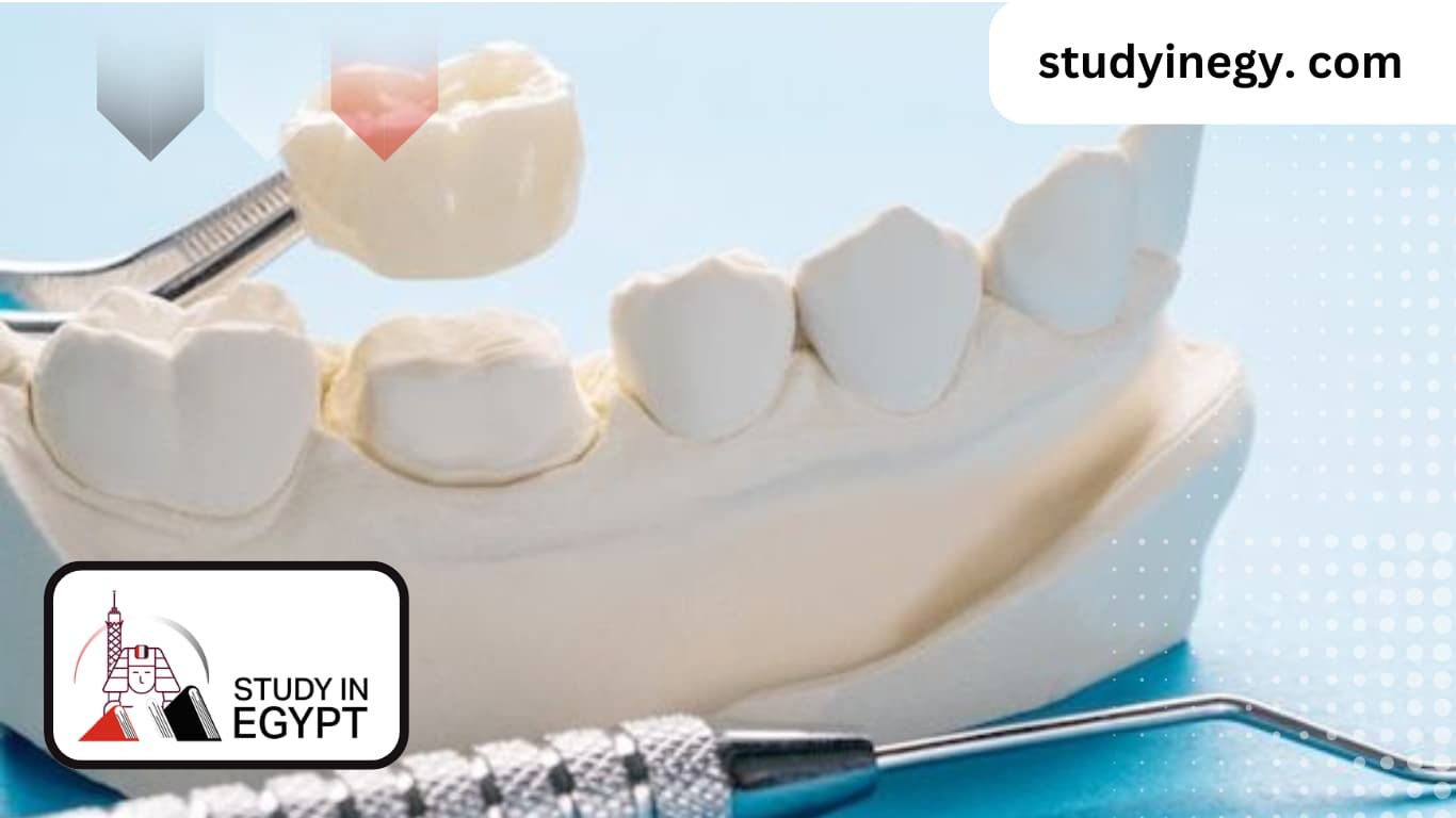 Master's Degree In Prosthodontics For International Students In Egypt