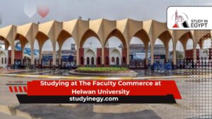 Studying at The Faculty Commerce at Helwan University