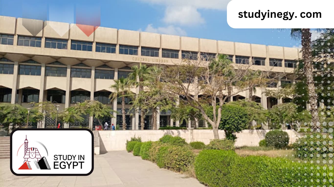 Studying at The Faculty Commerce at Helwan University