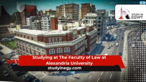 Studying at The Faculty of Law at Alexandria University