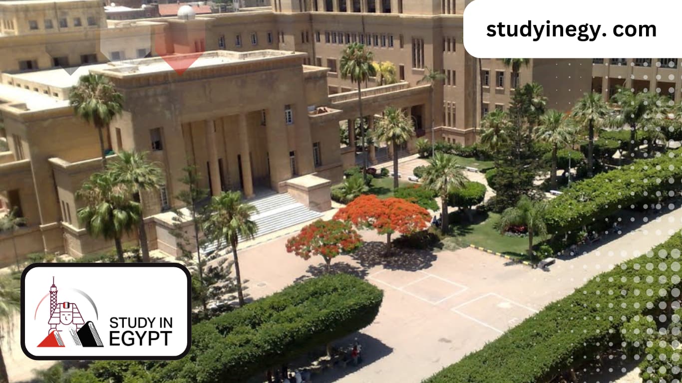 Studying at The Faculty of Law at Alexandria University