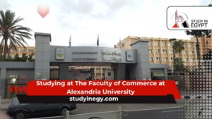 Studying at The Faculty of Commerce at Alexandria University