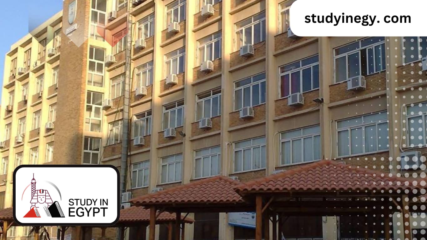 Studying at The Faculty of Commerce at Alexandria University