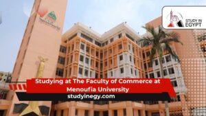 Studying at The Faculty of Commerce at Menoufia University