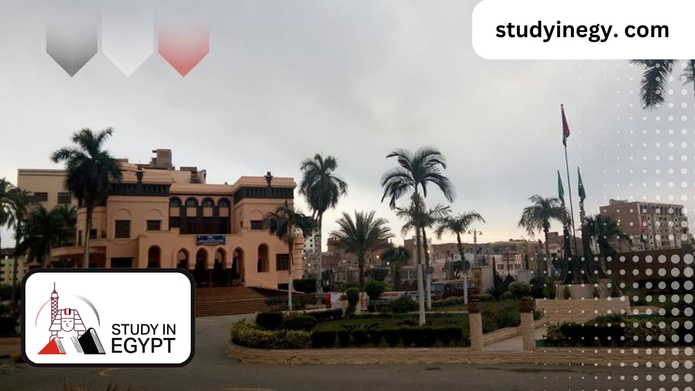 Studying at The Faculty of Commerce at Menoufia University