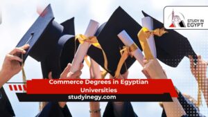 Commerce Degrees in Egyptian Universities