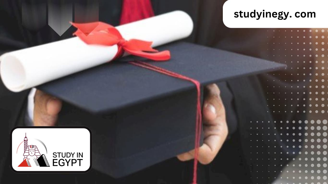 Commerce Degrees in Egyptian Universities