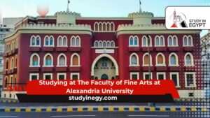 Studying at The Faculty of Fine Arts at Alexandria University
