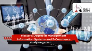 Master’s Degree in Management Information Systems and E-Commerce