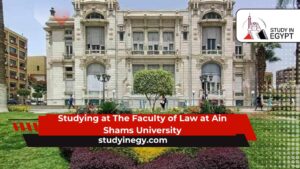 Studying at The Faculty of Law at Ain Shams University