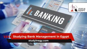 Studying Bank Management in Egypt
