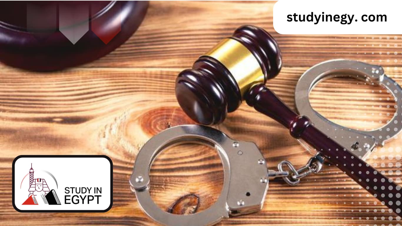 Studying A Master’s In Procedural Law In Egypt