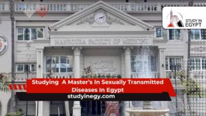 Studying  A Master’s In Sexually Transmitted Diseases In Egypt