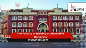 The Faculty of Nursing at Alexandria University
