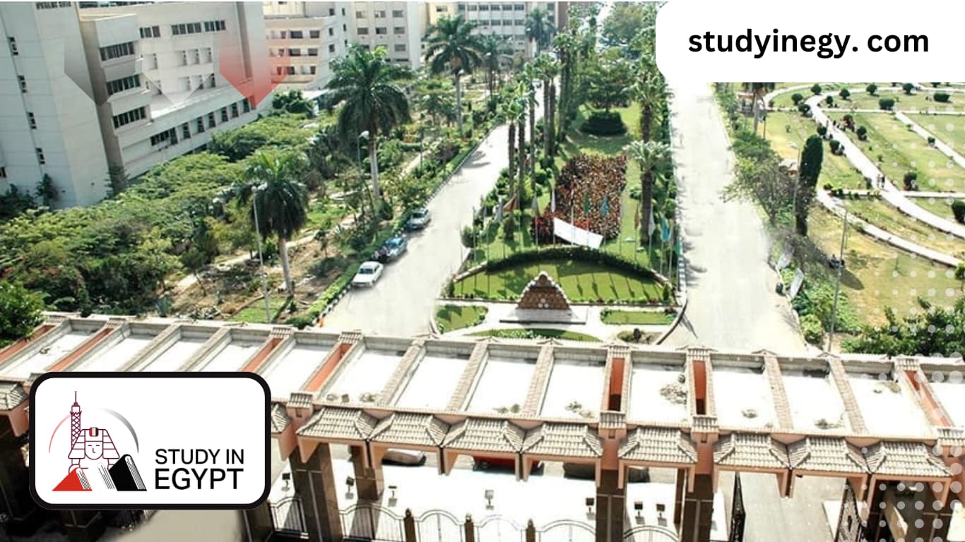 Faculty of Agriculture at Mansoura University