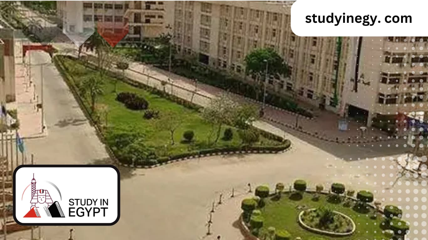 Faculty of Agriculture at Ain Shams University