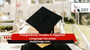 Postgraduate Studies in Egyptian Language Faculties