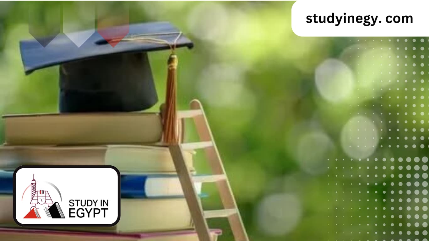 Postgraduate Studies in Egyptian Language Faculties