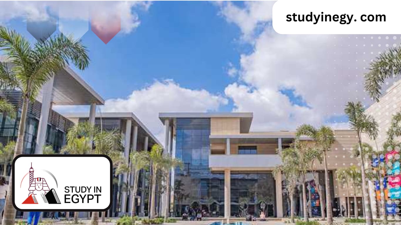 Faculty of Archaeology and Tourism Guidance at MUST University