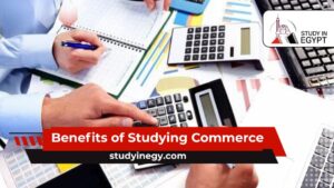 Benefits of Studying Commerce