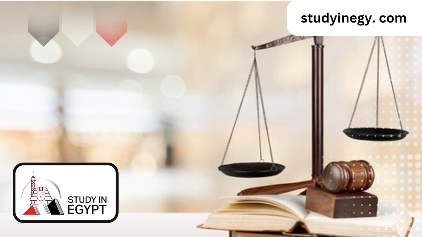 Studying at the Faculty of Law at BUE