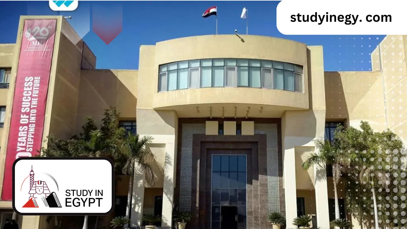 Studying Business Administration and International Trade at MIU