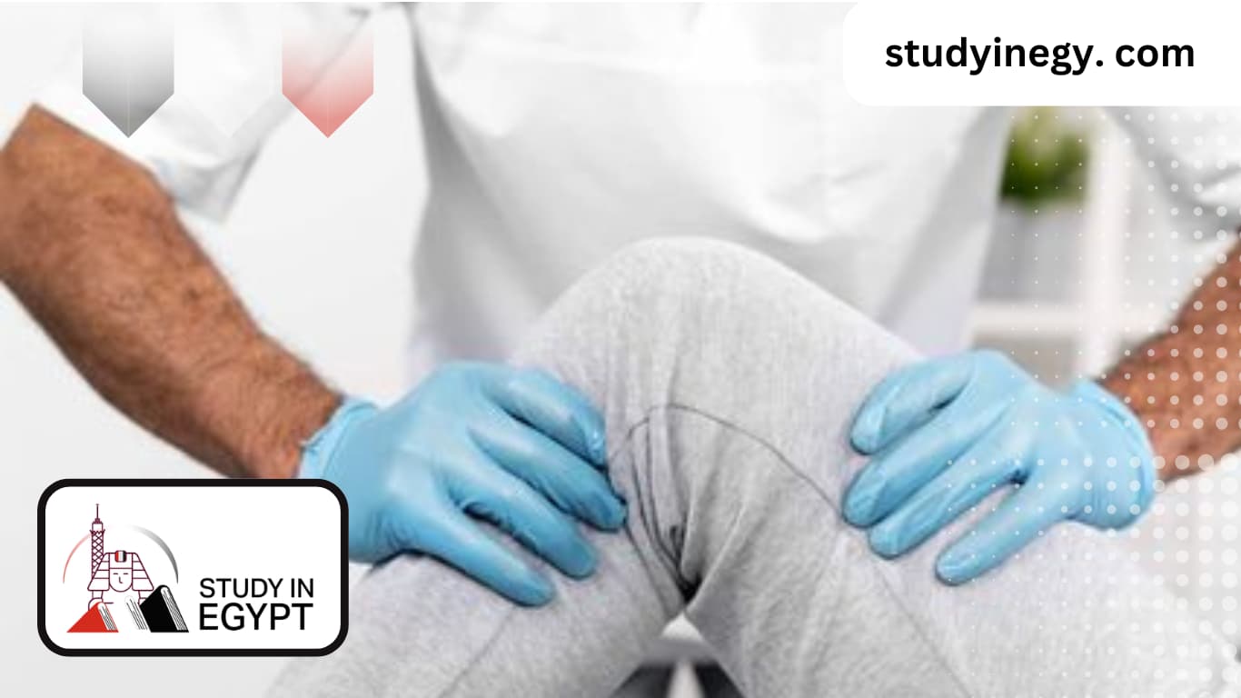 Studying Physiotherapy at 6th of October University