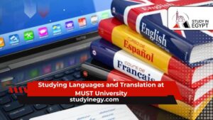 Studying Languages ​​and Translation at MUST University