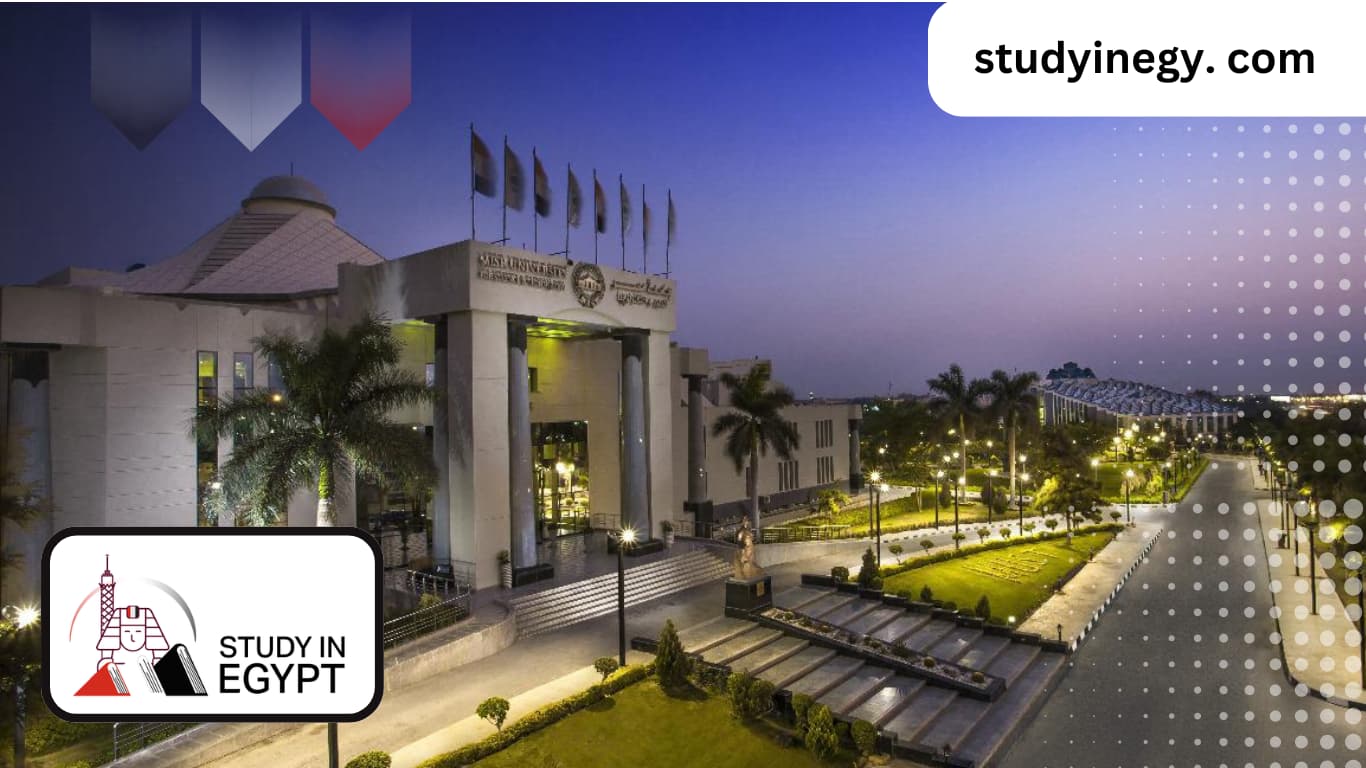 Studying Languages ​​and Translation at MUST University