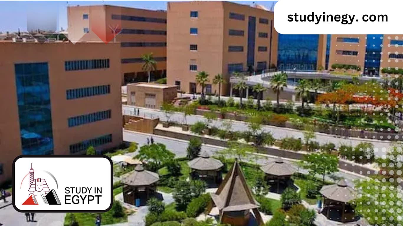 Applied Sciences and Arts at the German University