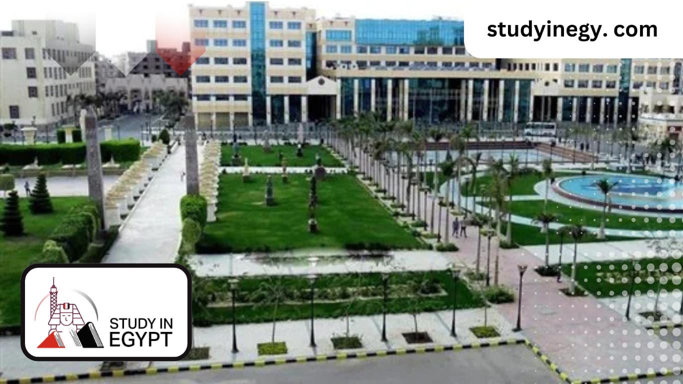 IMC Tourism and Hospitality program at 6th of October University