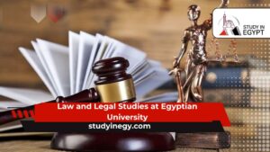Law and Legal Studies at Egyptian University