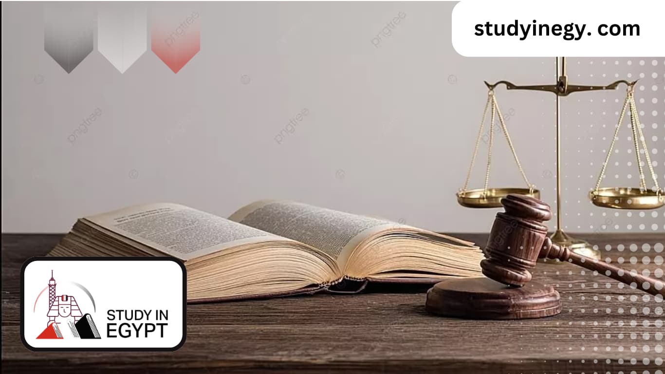 Law and Legal Studies at Egyptian University