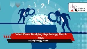 What Does Studying Psychology Teach You?