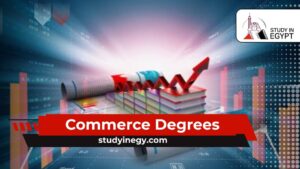 Commerce Degrees