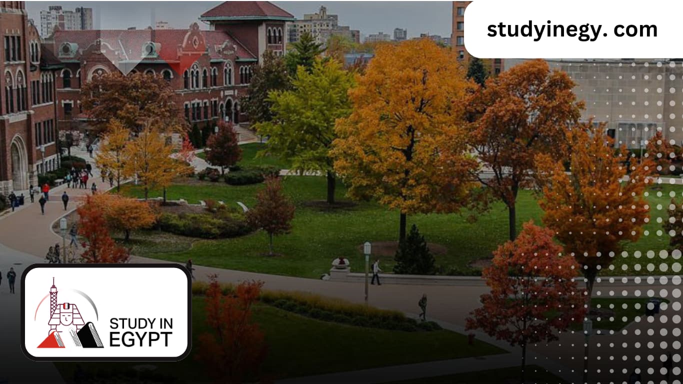 IMC Economics with the Austrian University at October 6 University