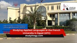 Studying Applied Languages ​​at the French University in Egypt (UFC)