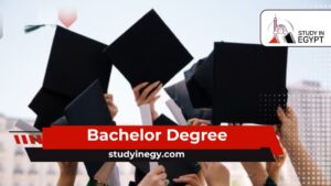 Bachelor Degree