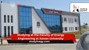 Studying at the Faculty of Energy Engineering at Aswan University