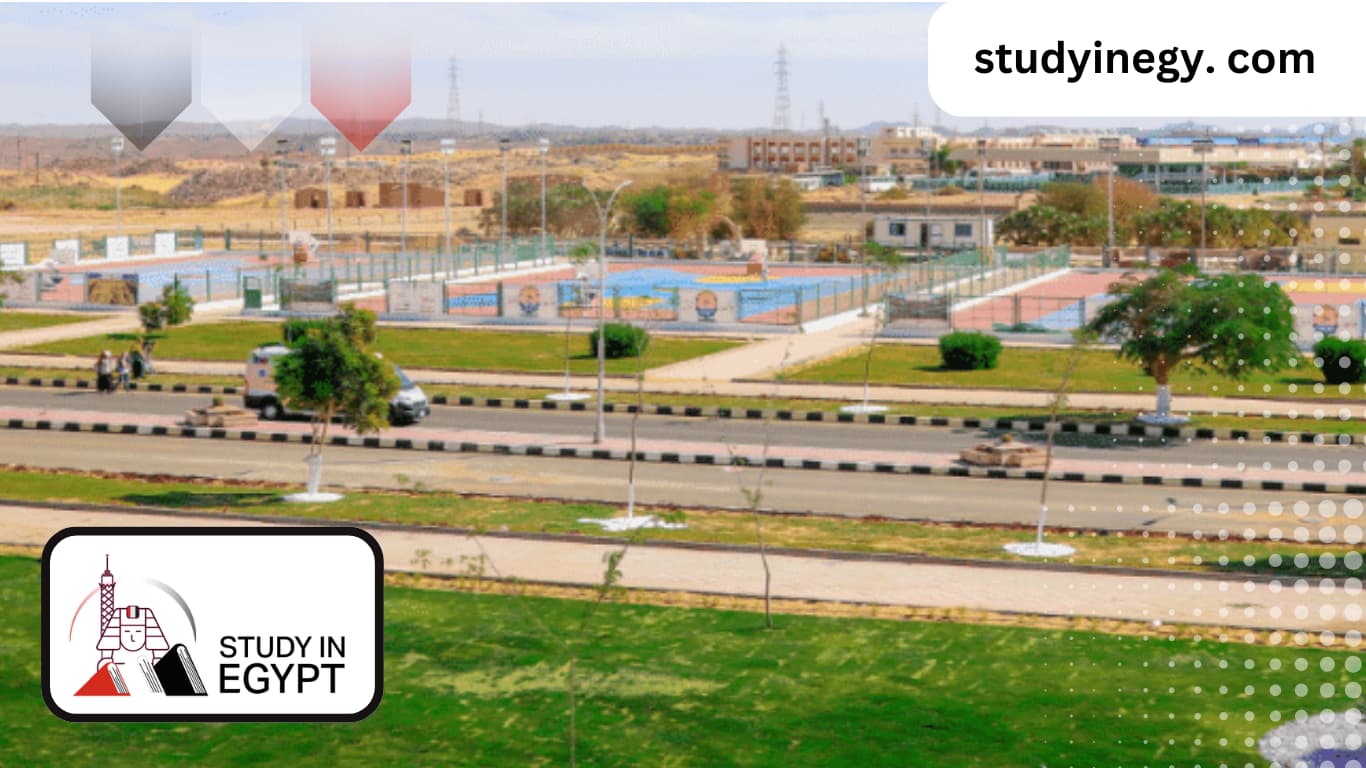 Studying at the Faculty of Energy Engineering at Aswan University