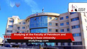 Studying at the Faculty of Petroleum and Mining in Suez University