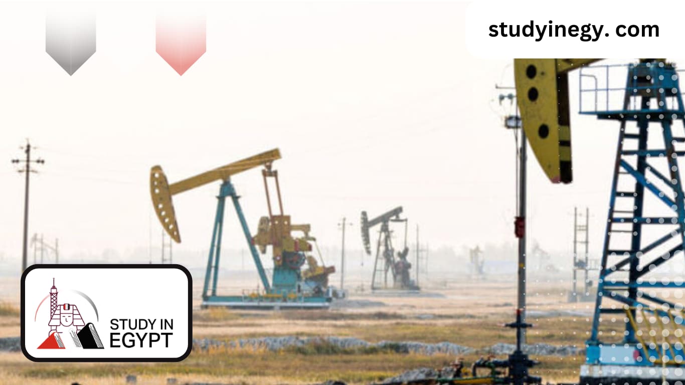Studying at the Faculty of Petroleum and Mining in Suez University
